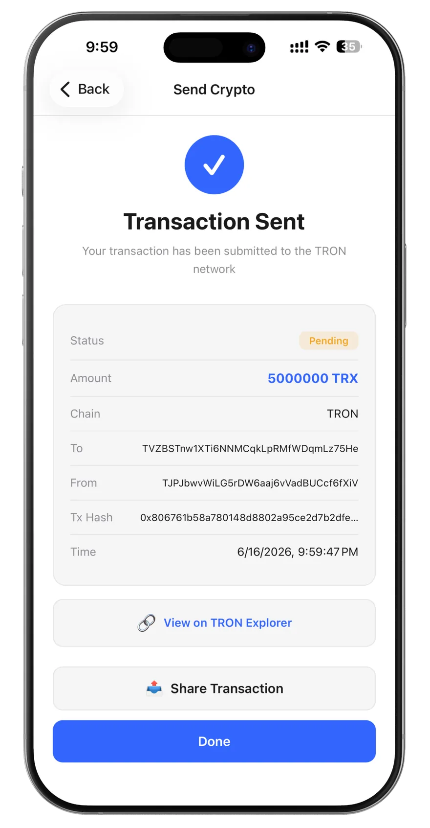 Meton Wallet transaction sent screen with status, amount, addresses, tx hash and timestamp